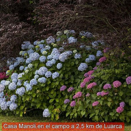 Almuña Casa Manoli Luarcaゲストハウス エクステリア 写真