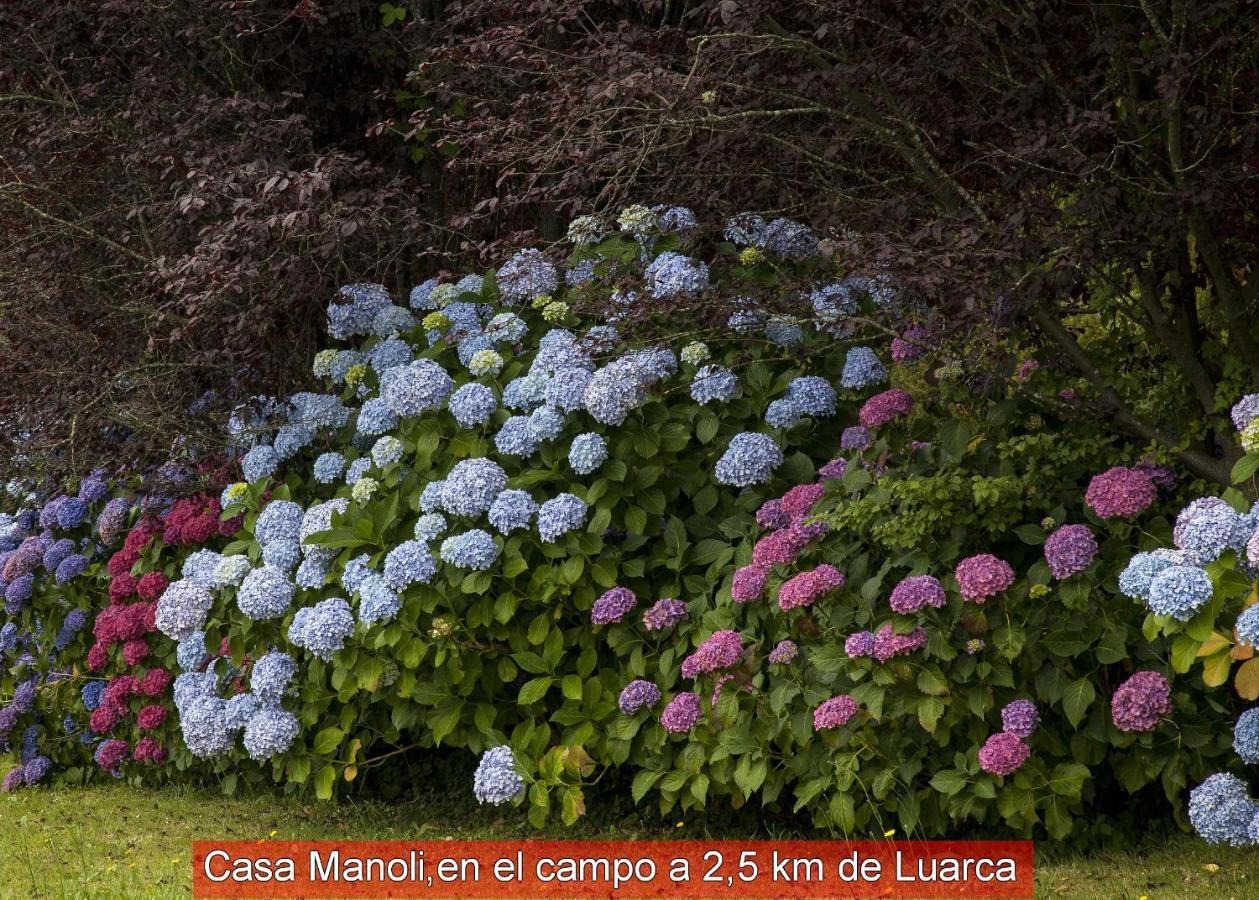 Almuña Casa Manoli Luarcaゲストハウス エクステリア 写真